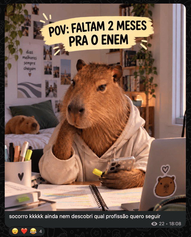 Capivara de moletom estudando no notebook